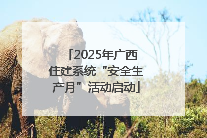 2025年广西住建系统“安全生产月”活动启动