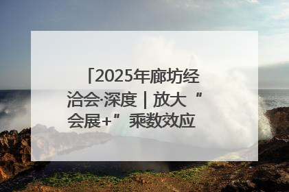 2025年廊坊经洽会·深度｜放大“会展+”乘数效应 打造消费新场景