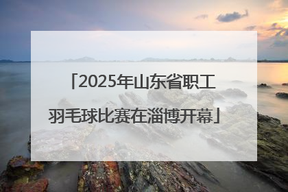 2025年山东省职工羽毛球比赛在淄博开幕