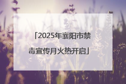2025年襄阳市禁毒宣传月火热开启