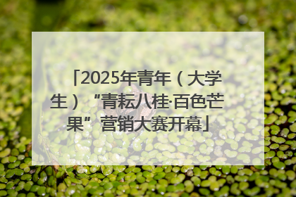 2025年青年（大学生）“青耘八桂·百色芒果”营销大赛开幕