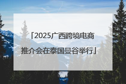 2025广西跨境电商推介会在泰国曼谷举行