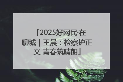 2025好网民·在聊城｜王晨：检察护正义 青春筑晴朗