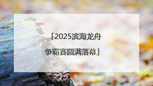 2025滨海龙舟争霸赛圆满落幕