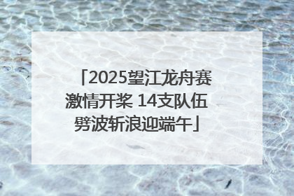 2025望江龙舟赛激情开桨 14支队伍劈波斩浪迎端午