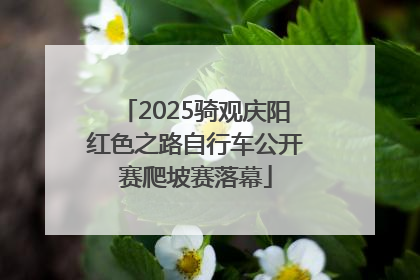 2025骑观庆阳红色之路自行车公开赛爬坡赛落幕
