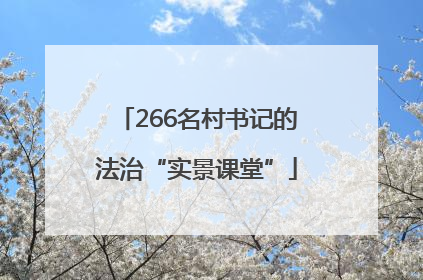 266名村书记的法治“实景课堂”