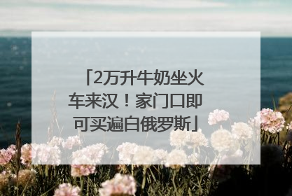 2万升牛奶坐火车来汉！家门口即可买遍白俄罗斯