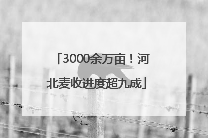 3000余万亩！河北麦收进度超九成