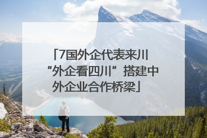 7国外企代表来川 “外企看四川”搭建中外企业合作桥梁
