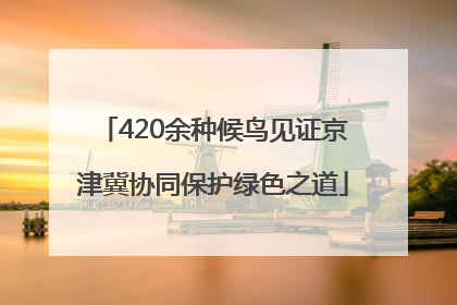 420余种候鸟见证京津冀协同保护绿色之道