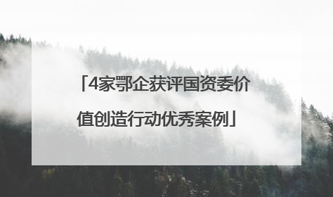 4家鄂企获评国资委价值创造行动优秀案例