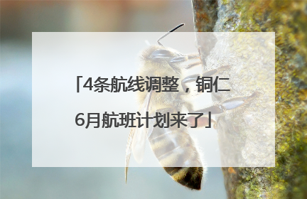 4条航线调整，铜仁6月航班计划来了