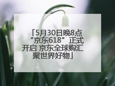 5月30日晚8点“京东618”正式开启 京东全球购汇聚世界好物