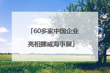 60多家中国企业亮相挪威海事展