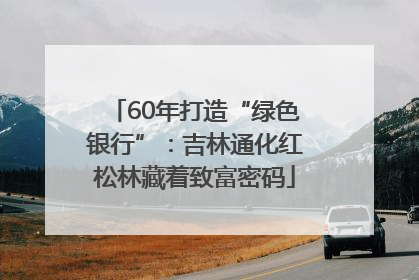 60年打造“绿色银行”：吉林通化红松林藏着致富密码