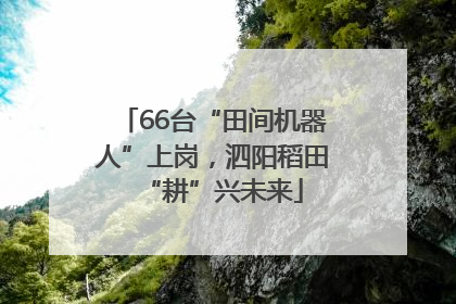 66台“田间机器人”上岗，泗阳稻田“耕”兴未来