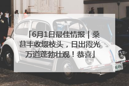 6月1日最佳情报｜桑葚丰收缀枝头，日出霞光万道蓬勃壮观！恭喜