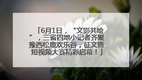6月1日，“文影共绘”，三省四地小记者齐聚豫西松鹿欢乐谷，征文暨短视频大赛精彩启幕！