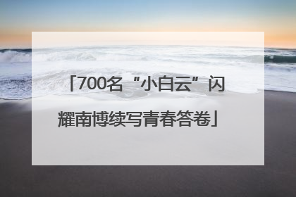 700名“小白云”闪耀南博续写青春答卷
