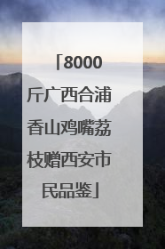8000斤广西合浦香山鸡嘴荔枝赠西安市民品鉴