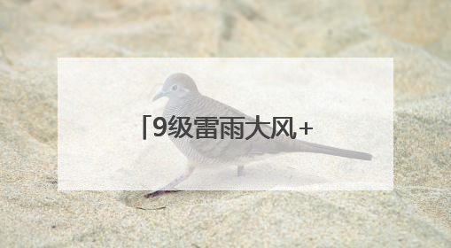 9级雷雨大风+冰雹！淄博发布最新预警！还有中雨局部大雨