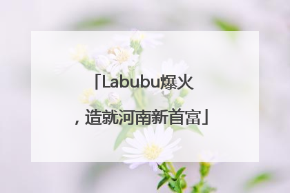 Labubu爆火，造就河南新首富