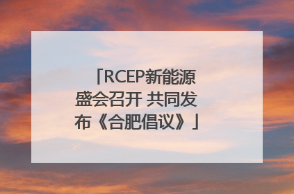 RCEP新能源盛会召开 共同发布《合肥倡议》
